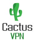 CactusVPN server