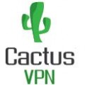 CactusVPN server