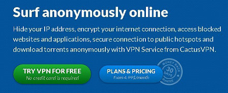 cactusvpn service - Surf anonymously online